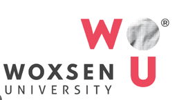 Woxsen University Logo